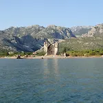 Kiwi-near Paklenica Np Starigrad Paklenica
