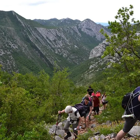 Kiwi-near Paklenica Np Lejlighed *