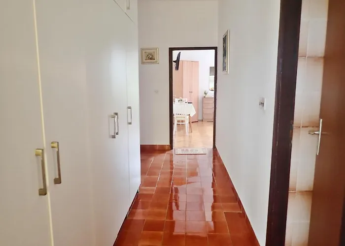 Kiwi-near Paklenica Np