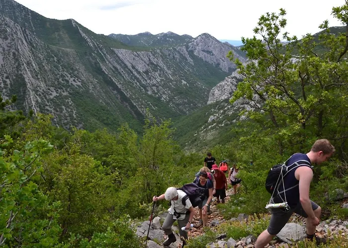 Kiwi-near Paklenica Np Apartmán *