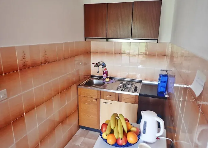 Kiwi-near Paklenica Np 아파트