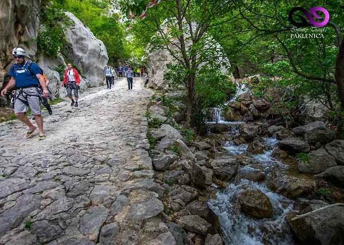 Kiwi-near Paklenica Np *