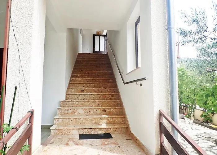 Kiwi-near Paklenica Np *